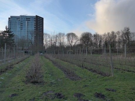 De Moestuin Maarschalkerweerd