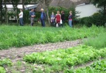 biologisch-dynamische boerderij 't Leeuweriksveld