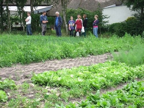 biologisch-dynamische boerderij 't Leeuweriksveld