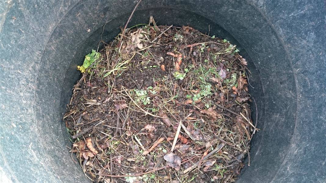 compost-jong