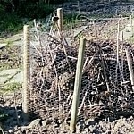 compostbak-droog