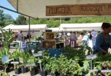 Ecologische tuinmarkt Alkmaar